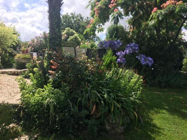 Chez Brown Bed & Breakfast Saint-Thomas-de-Cônac Dış mekan fotoğraf
