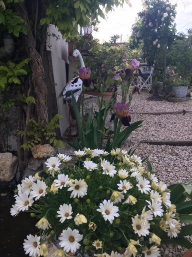 Chez Brown Bed & Breakfast Saint-Thomas-de-Cônac Dış mekan fotoğraf