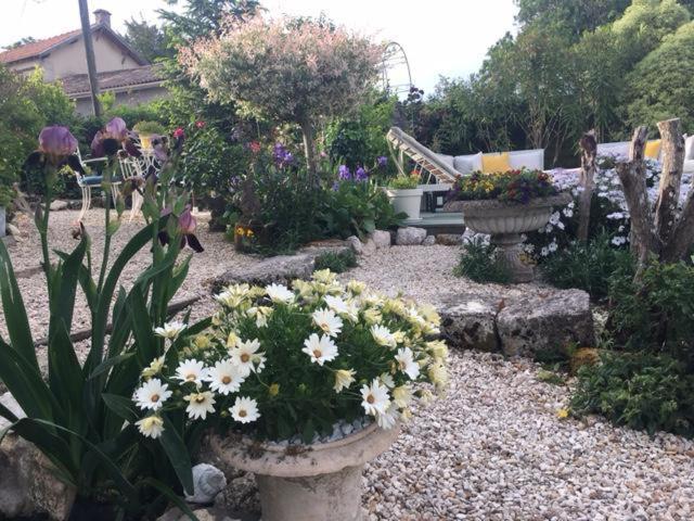 Chez Brown Bed & Breakfast Saint-Thomas-de-Cônac Dış mekan fotoğraf