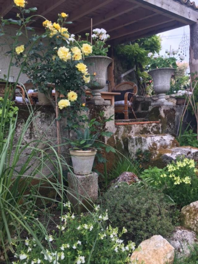 Chez Brown Bed & Breakfast Saint-Thomas-de-Cônac Dış mekan fotoğraf